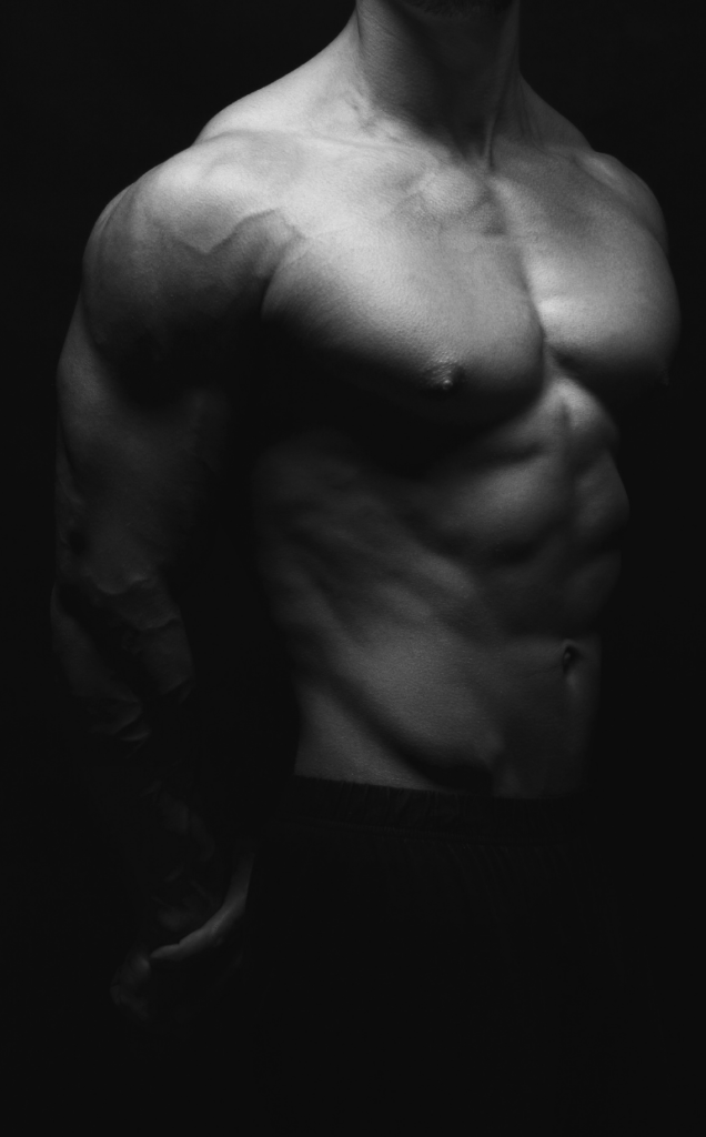 Body muscles